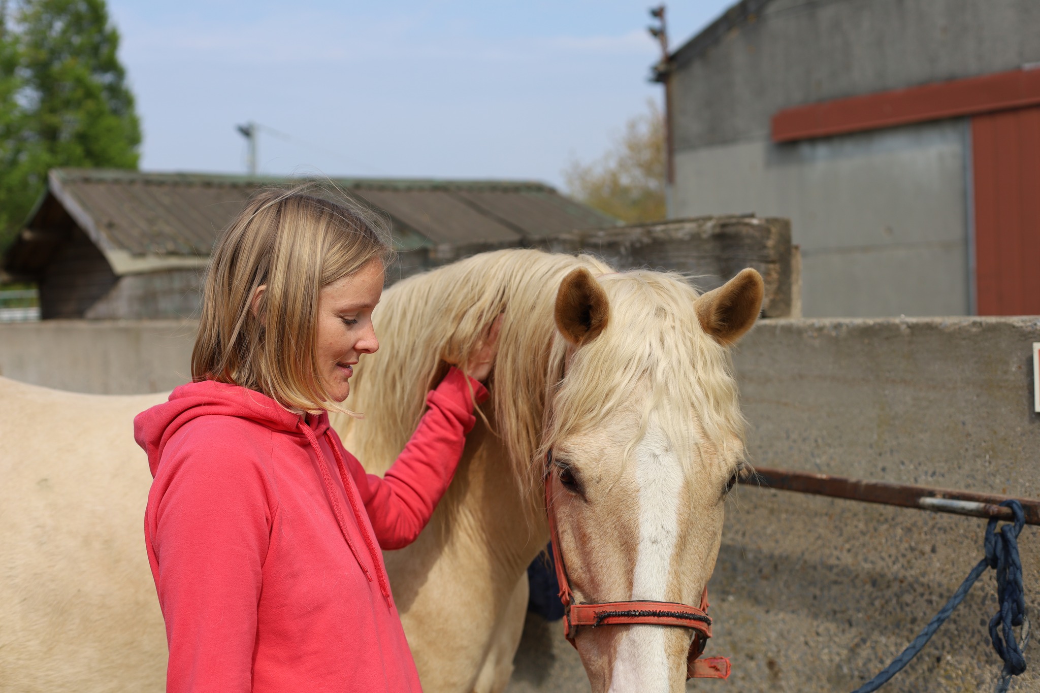 Au Rythme des sabots - hippothérapie