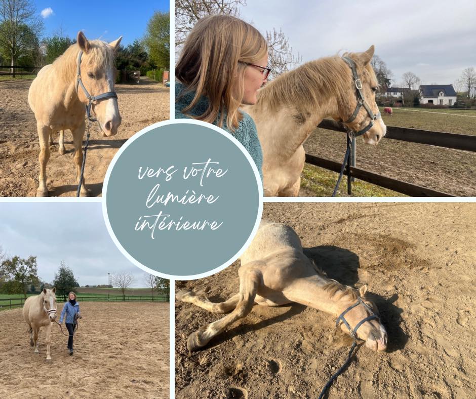 Au Rythme des sabots - hippothérapie