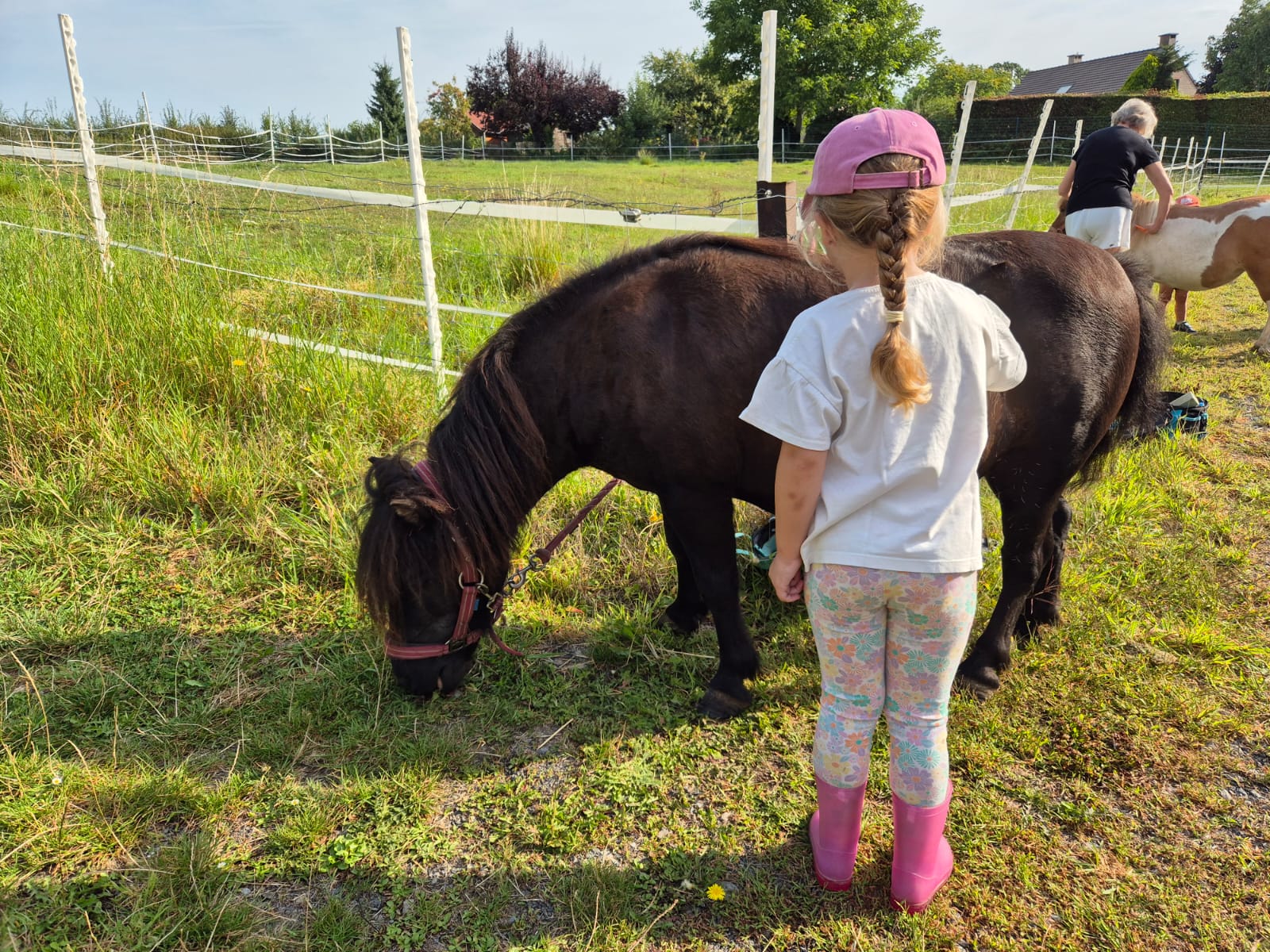 Ateliers et stages — découverte du cheval, Au Rythme des sabots