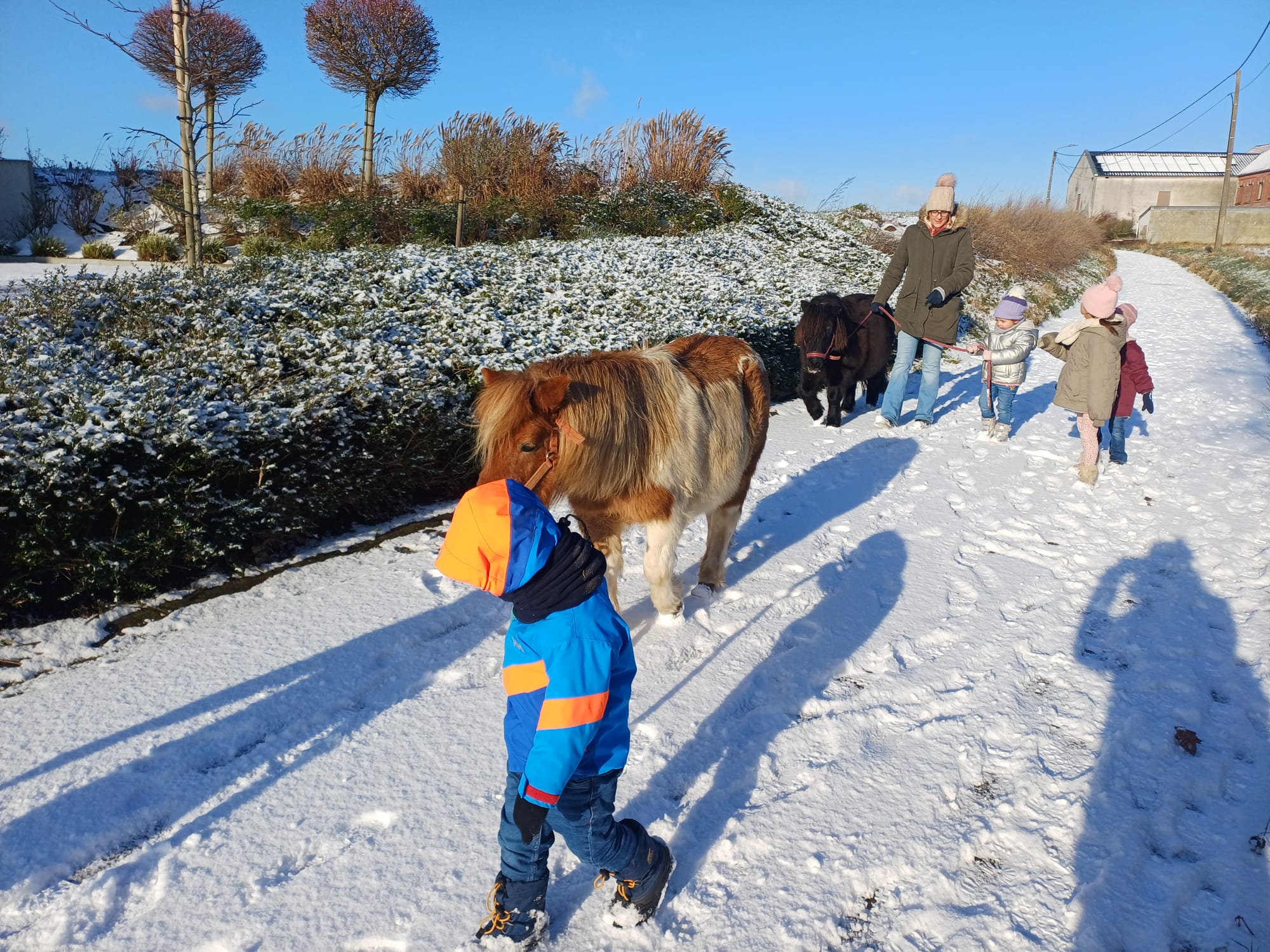 Ateliers et stages — découverte du cheval, Au Rythme des sabots
