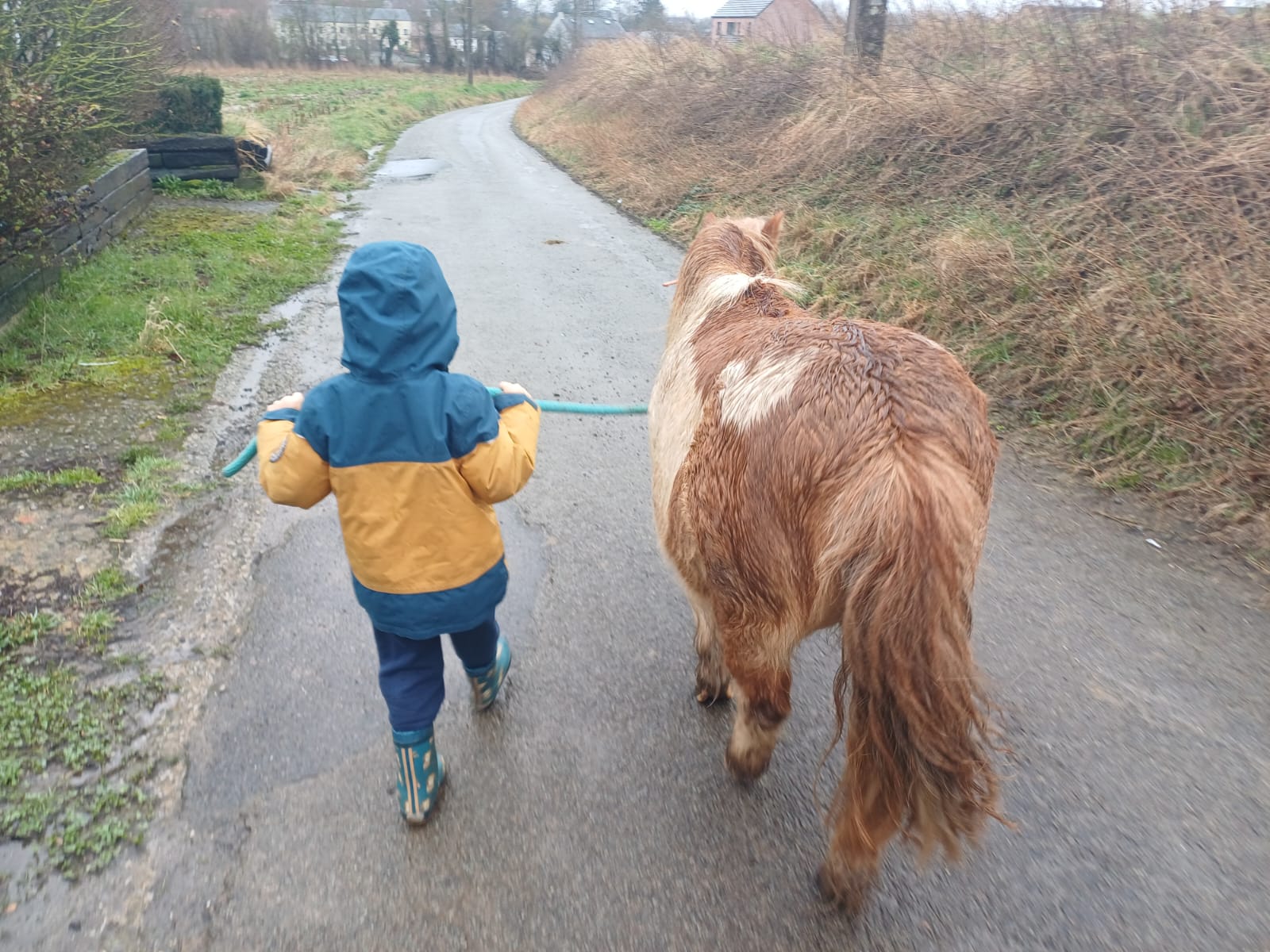 Ateliers et stages — découverte du cheval, Au Rythme des sabots